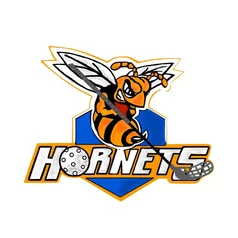 FBK Hornets Mútne